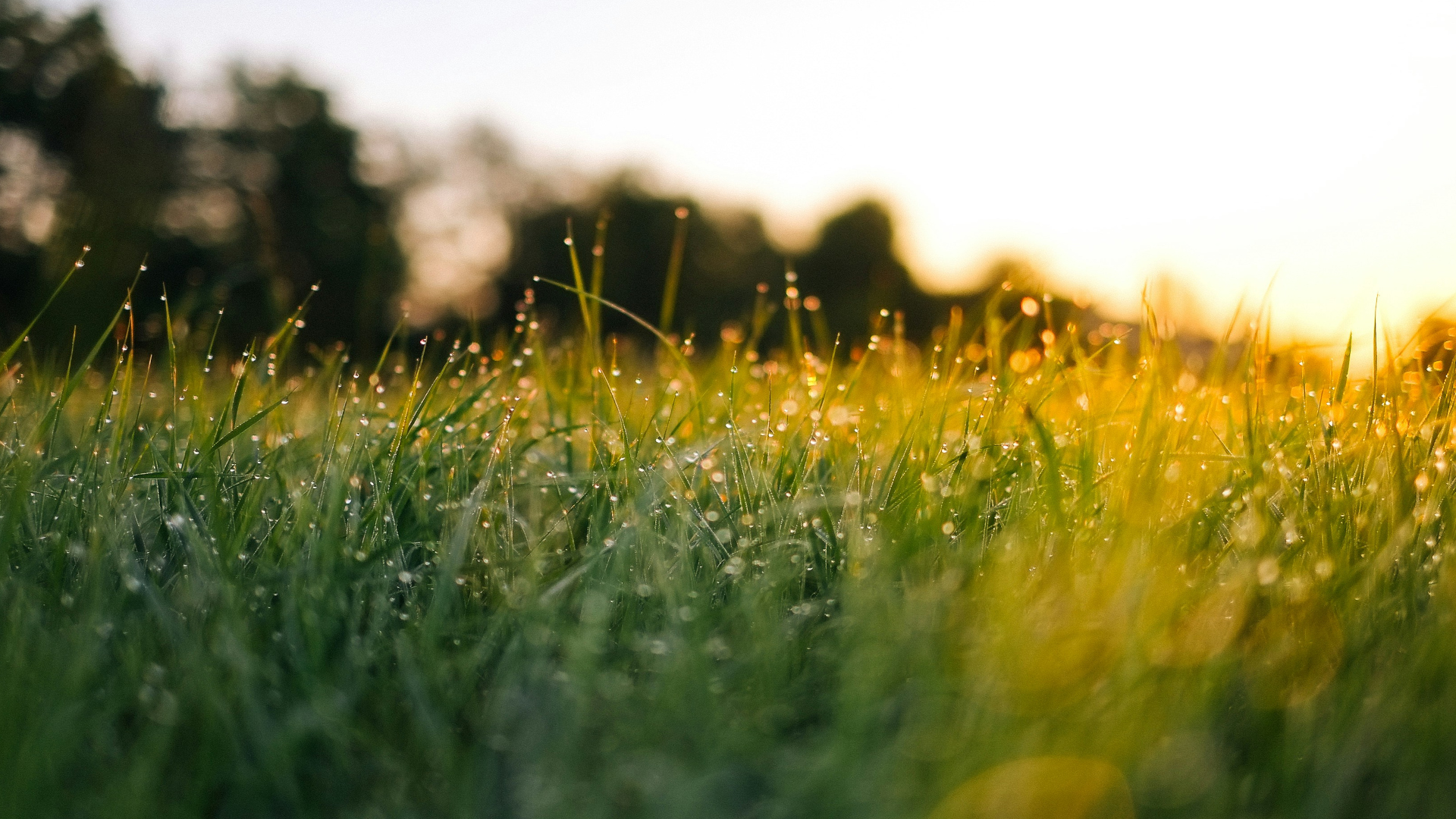 Prelude: What is Summer of 90