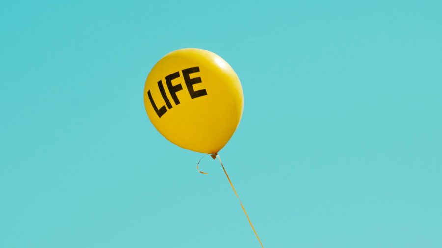 Midlife Kind of Life